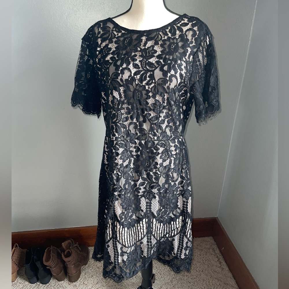 Beautiful black lace/white slip dress ✨